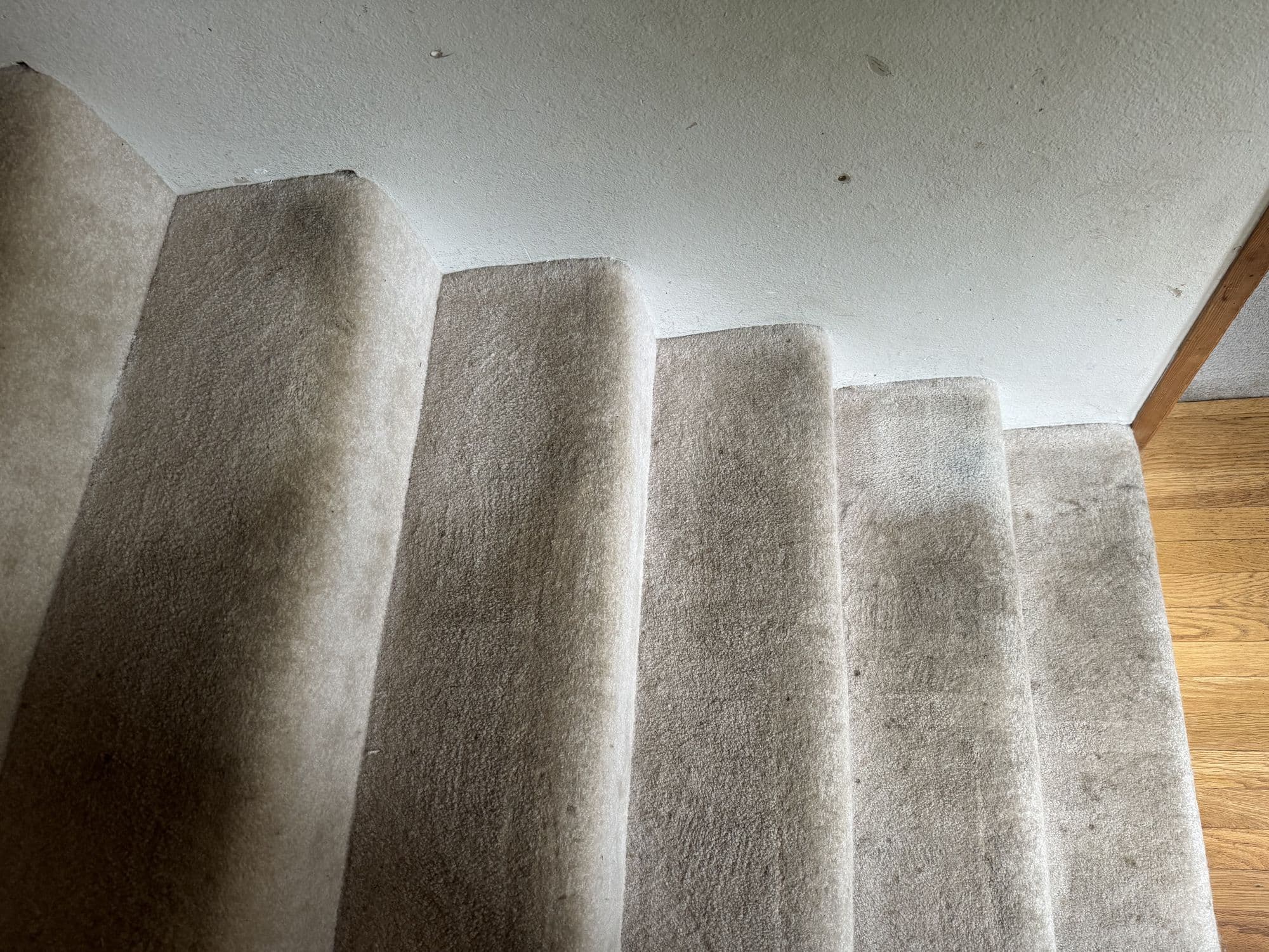 Carpeted stairs cleaned during a Peak Services move-out clean